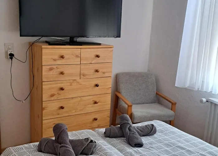 Schoene Wohnung In Worms Private Gastgeber
